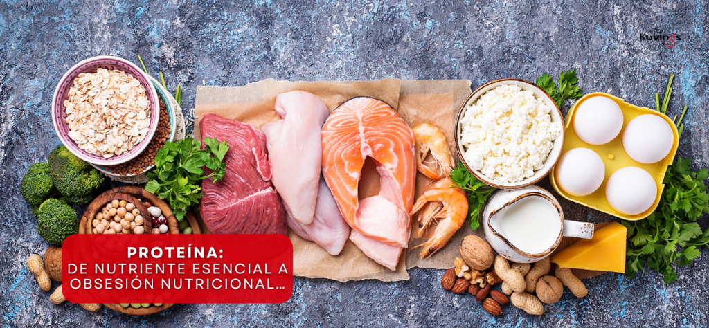 proteínas, proteínas, alimentación. Información sobre este alimento que se volvió obsesión. 